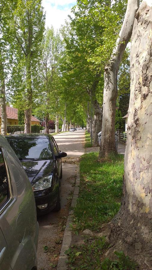 Heni Apartman Nagykanizsa Bagian luar foto